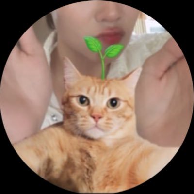 นามูซัง🌱's profile picture