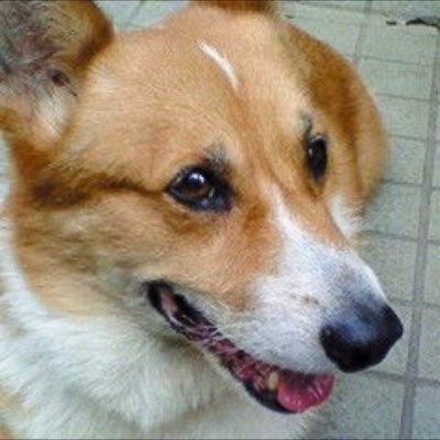marakasu93's profile picture