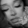 PETAL's profile picture