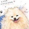 Profilbild von 黑土山人