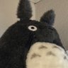 こいけ 的头像