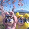 ふわりぃ🈂️ 🌿🌷🌻🍼💧🦖🍎🍃💜 profil fotoğrafı