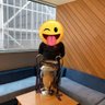 Joanne profil fotoğrafı
