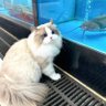 / 的头像