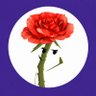 143's profile picture