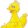 bigbird.hl profil fotoğrafı