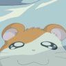 azu's profile picture