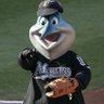 Billy The Marlin's profile picture