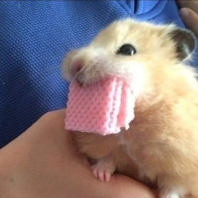 houhou7__7's profile picture