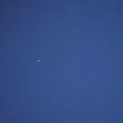 Kala 🐻's profile picture