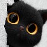 หลูอี้ profil fotoğrafı