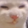 Profilbild von 玉米猫