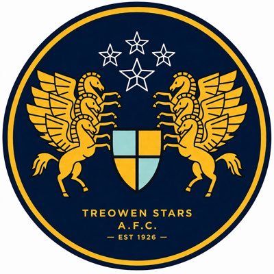 Treowenstarsfc's profile picture
