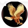 Falcon's profile picture