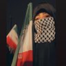 mohammadi 的头像
