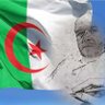 bouzid ghaoui 的头像
