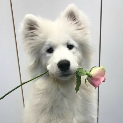 🐋💫 𝒯𝒽𝒶𝓉ชน์ 🦮🍳 𝐿𝒪 (ธัตชน์)'s profile picture