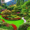 فارس بلا جواد profil fotoğrafı