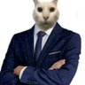 catto's profile picture