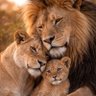 لولو بنت فهد profil fotoğrafı