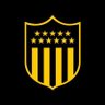 GCarbonera🖐's profile picture