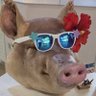 Profilbild von J