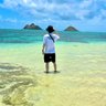 Mar Azul *投資初心者🔰* 的头像