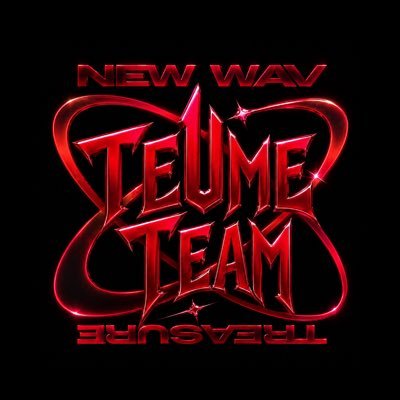 TEUMETEAM's profile picture
