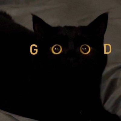 tizyoiiaio's profile picture