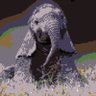 The Wise Elephant 的头像