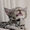 åºãå¿ã§æããð¯ðµ's profile picture