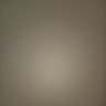 キャラ's profile picture