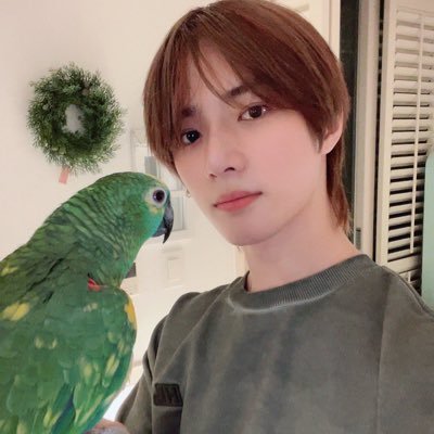 vevito's profile picture