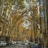 Фото профиля cucurrila