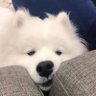 nsp.'s profile picture