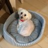 ゆそ 的头像