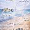 Фото профиля عبدالله
