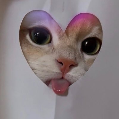 cats with powerful aura's profile picture