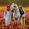 سـاري✨'s profile picture