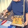 ろみ2号です⭐ 的头像