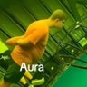 UAP profil fotoğrafı