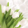 أسماء |🌷's profile picture