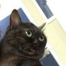 Profilbild von insanazor