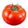 @empt's profile picture