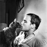 Фото профиля Brando