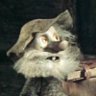 Profilbild von sendr