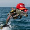OverTaxedIowa 🇺🇸🐾's profile picture