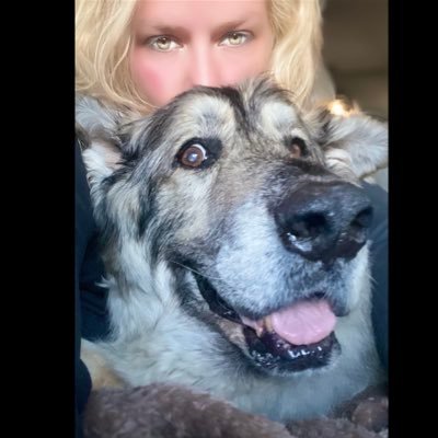 Nicole Omholt's profile picture