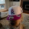 Kate's profile picture