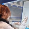 Medosa profil fotoğrafı